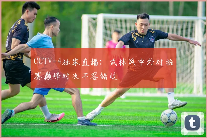 CCTV-4独家直播:武林风中外对抗赛巅峰对决不容错过